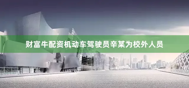 财富牛配资机动车驾驶员辛某为校外人员