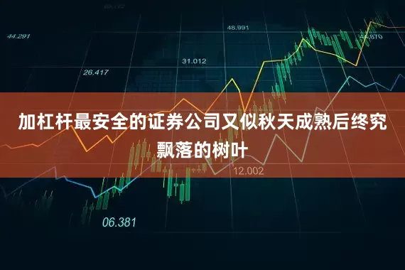加杠杆最安全的证券公司又似秋天成熟后终究飘落的树叶