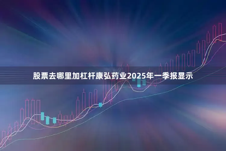 股票去哪里加杠杆康弘药业2025年一季报显示