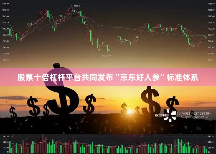 股票十倍杠杆平台共同发布“京东好人参”标准体系