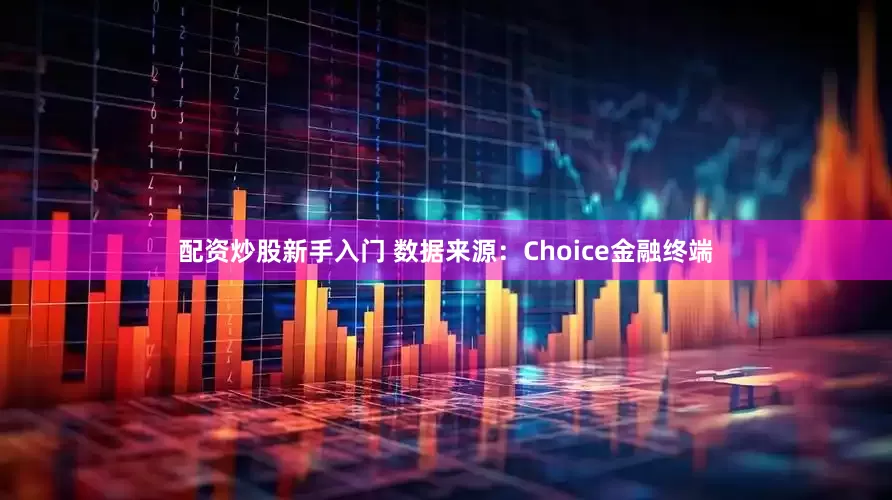 配资炒股新手入门 　　数据来源：Choice金融终端