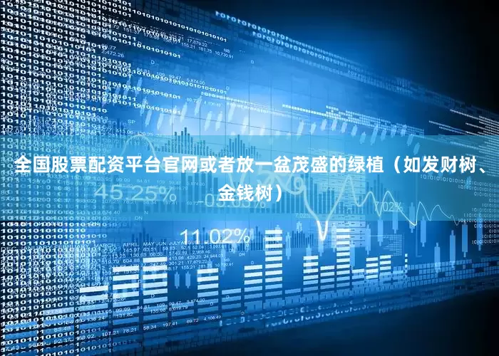 全国股票配资平台官网或者放一盆茂盛的绿植（如发财树、金钱树）