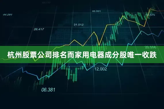 杭州股票公司排名而家用电器成分股唯一收跌